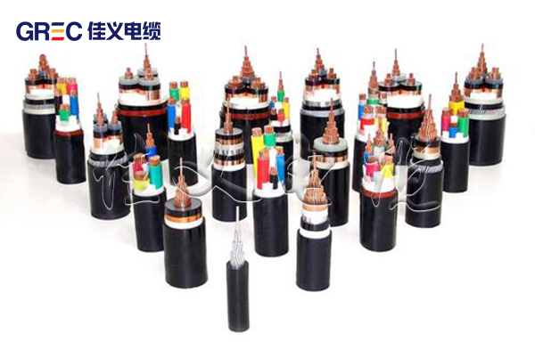 塑料绝缘香蕉视频免费在线观看APP